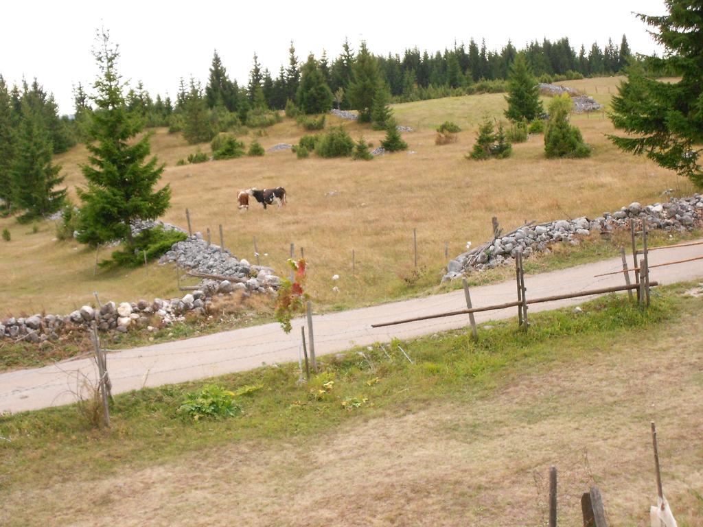 Zabljak Izdavanje Kuce Zewnętrze zdjęcie