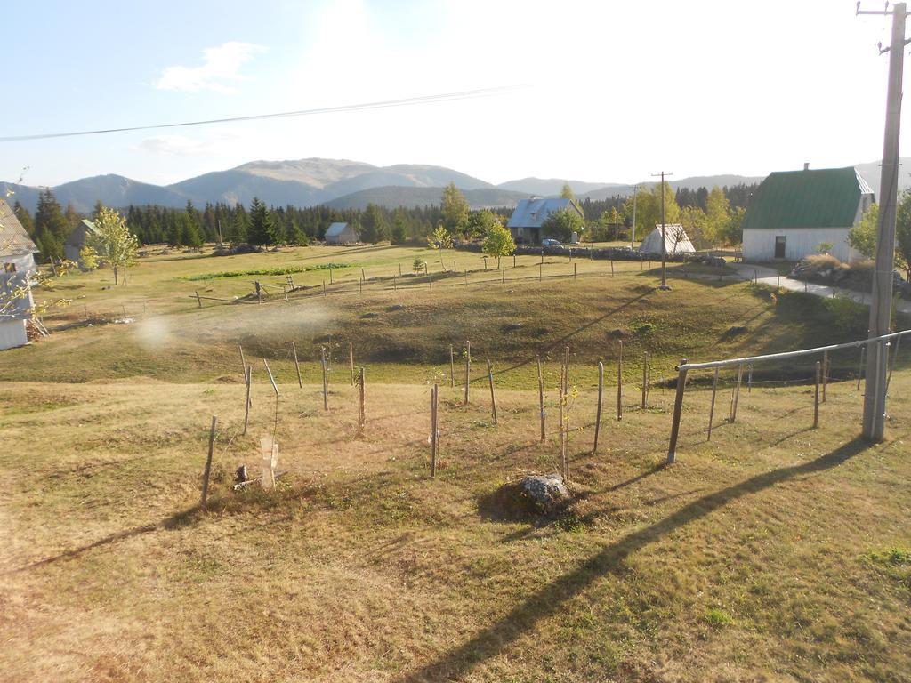Zabljak Izdavanje Kuce Zewnętrze zdjęcie